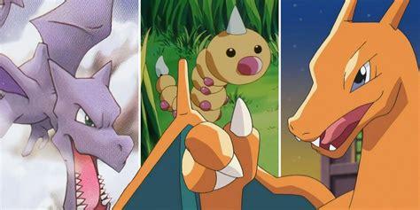 animals named after pokemon.
